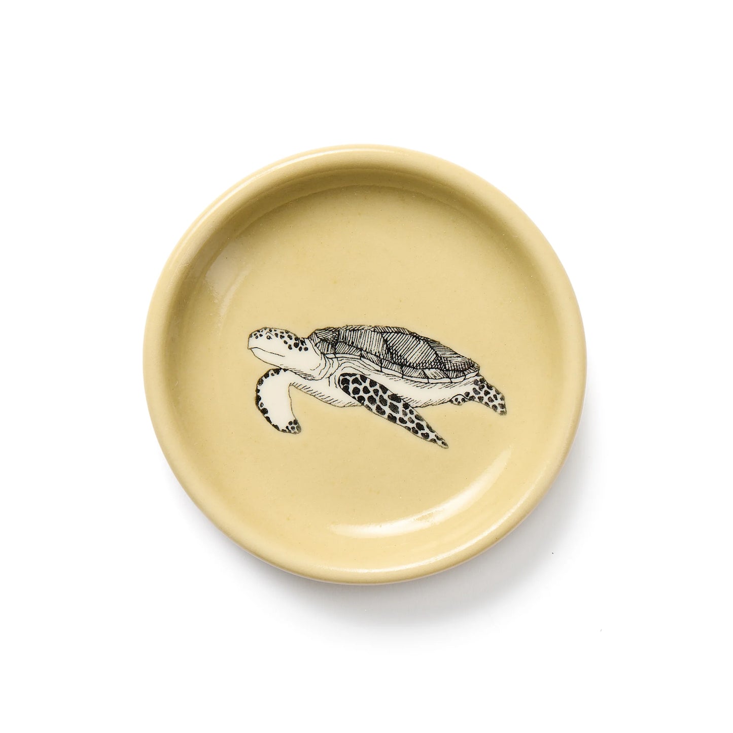 Citron Sea Turtle Everything Dish