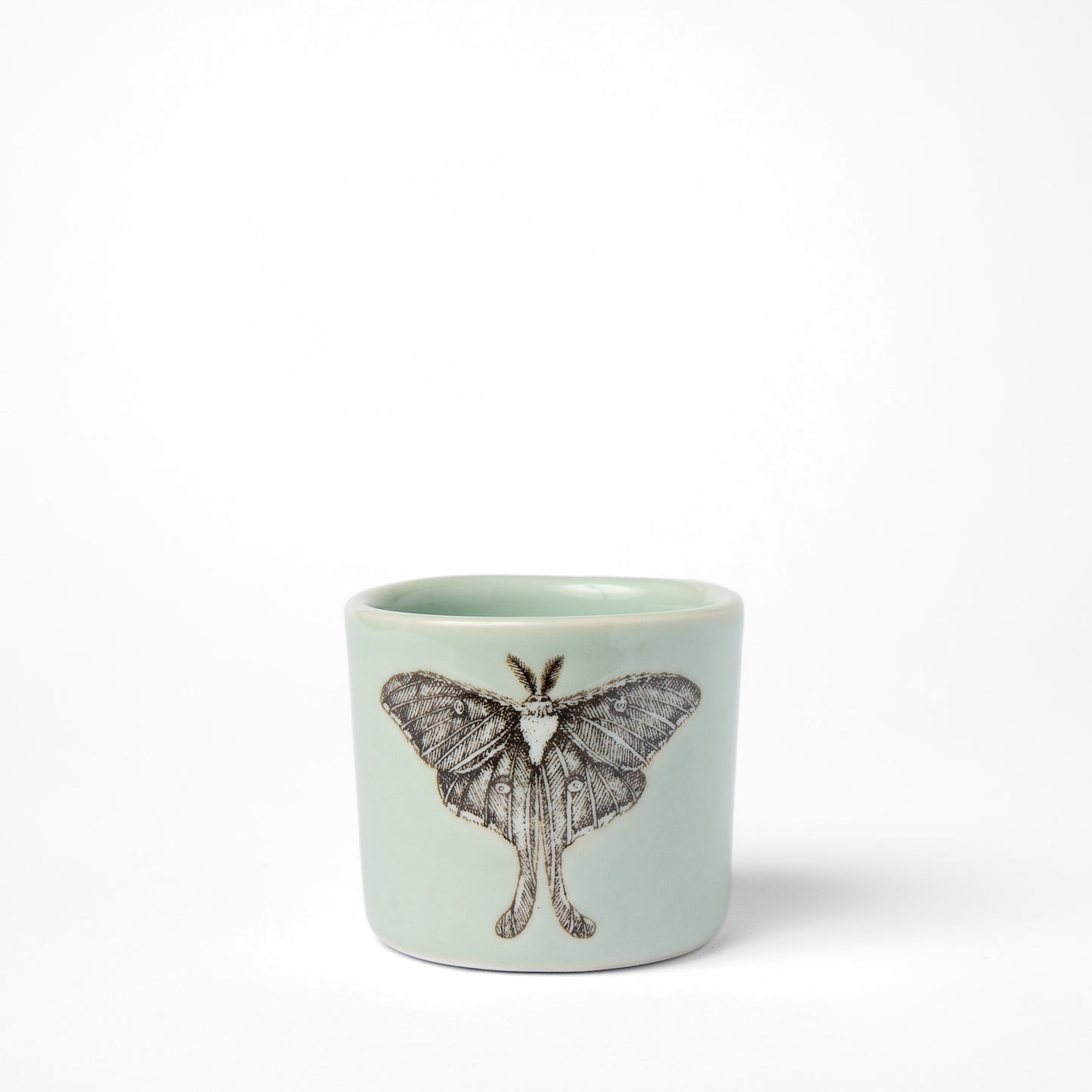 Little Celadon Luna Moth Cup
