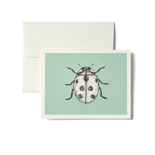 Celadon Ladybug Notecard